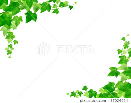 Frame Young leaf Fresh green Frame Cork board Bulletin board Notice board 57024924