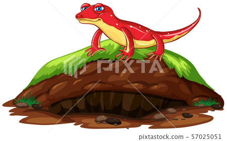 Nature scene with red gecko on hill 57025051