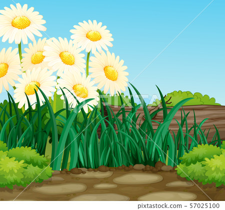 Background scene with nature theme Background scene with nature theme 57025100