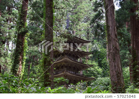 國寶Haguroyama五層寶塔 57025848