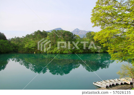 Spring Goshikunuma (Fukushima Prefecture · Back Bandai) 57026135