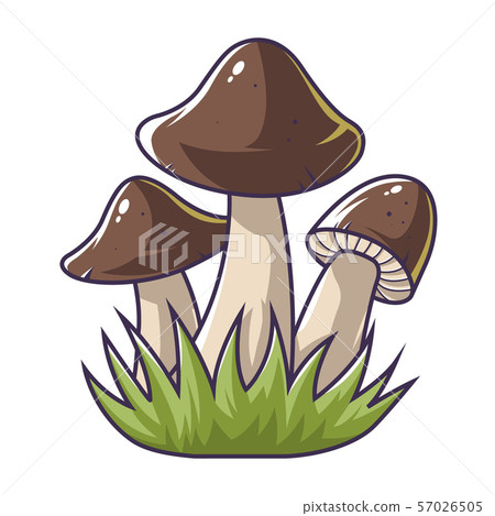 three mushrooms in the grass. vector illustration three mushrooms in the grass. vector illustration 57026505