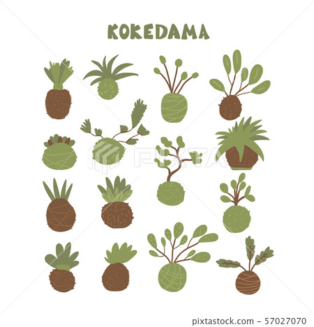Kokedama set. Doodle vector asian plant collection Kokedama set. Doodle vector asian plant collection 57027070