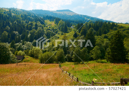 Beautiful summer landscape - countryside on hills 57027421