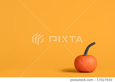 Halloween pumpkin on orange 57027650