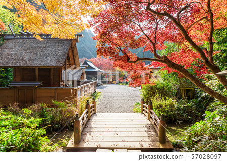 Kamibashi和Kodamaike Hyuga Daijingu 57028097