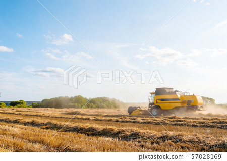 Photo of wheat field working combine harvester, blue sky. 57028169