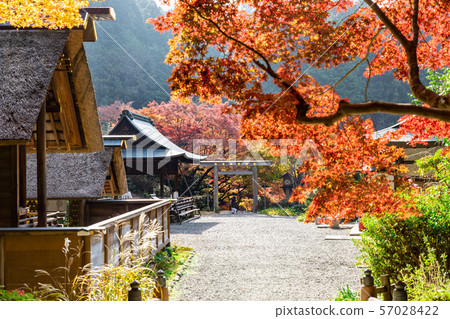 Outer shrine and worship hall Hyuga Ojingu shrine grounds Outer shrine and worship hall Hyuga Ojingu shrine grounds 57028422