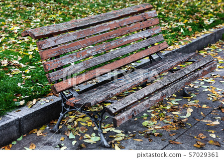 wooden park bench in autumn 57029361