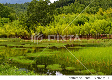 大分別府神樂女人湖 大分別府神樂女人湖 57029504