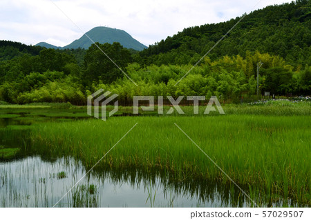 大分別府神樂女人湖 大分別府神樂女人湖 57029507
