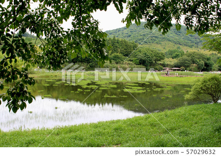 大分別府神樂女人湖 大分別府神樂女人湖 57029632