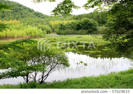 大分別府神樂女人湖 大分別府神樂女人湖 57029633