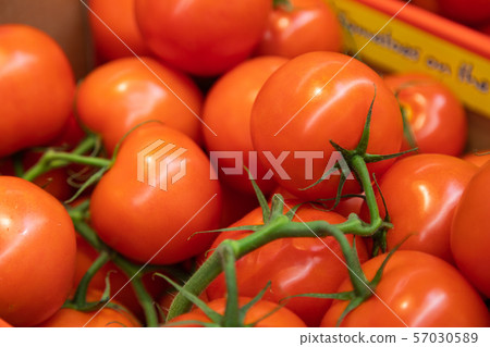 Delicious ripe red branch tomatoes. Summer tray market agriculture farm full of organic vegetables Delicious ripe red branch tomatoes. Summer tray market agriculture farm full of organic vegetables 57030589