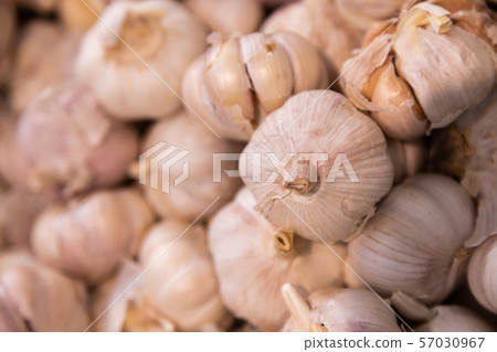 Pile of white garlic heads close-up. Garlic texture, meat dish ingredient. Pile of white garlic heads close-up. Garlic texture, meat dish ingredient. 57030967