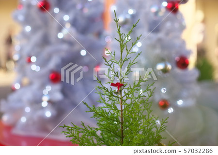小聖誕節 小聖誕節 57032286