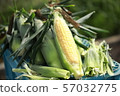 Harvesting of corn Harvesting of corn 57032775
