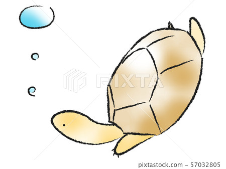 Turtle to swim Turtle to swim 57032805
