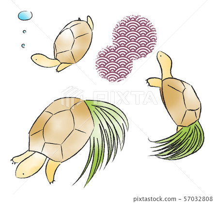 沒有背景的烏龜例證集合 57032808