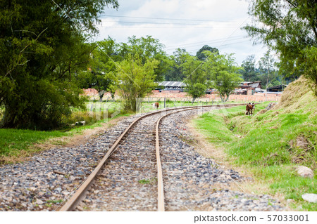 Railroad tracks in rural area of Colombia 57033001