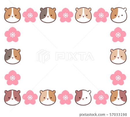 Guinea pig plum color alternate frame 57033198