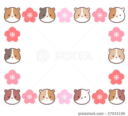 Guinea pig plum alternate frame 57033199