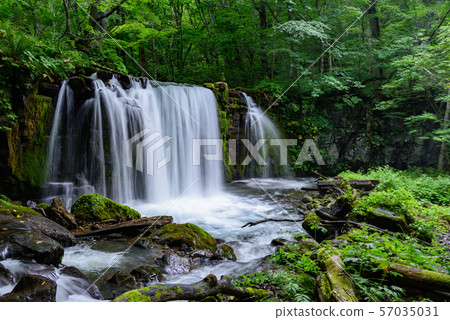 Oirase Stream Choshi Otaki Oirase Stream Choshi Otaki 57035031