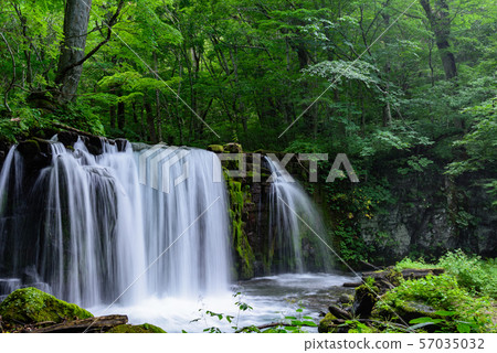 Oirase Stream Choshi Otaki Oirase Stream Choshi Otaki 57035032