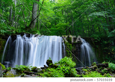 Oirase Stream Choshi Otaki Oirase Stream Choshi Otaki 57035039