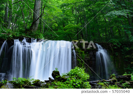 Oirase Stream Choshi Otaki Oirase Stream Choshi Otaki 57035040