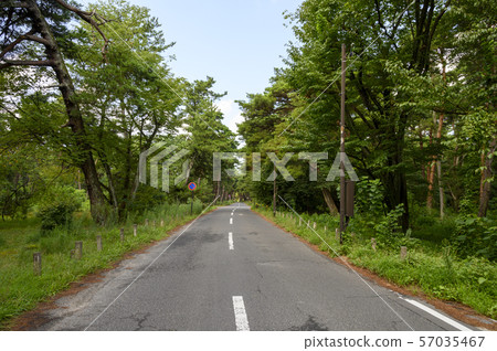 Fukui Kebino Matsubara Road One road 57035467