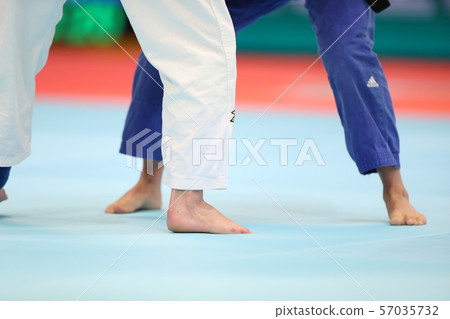 judo judo 57035732