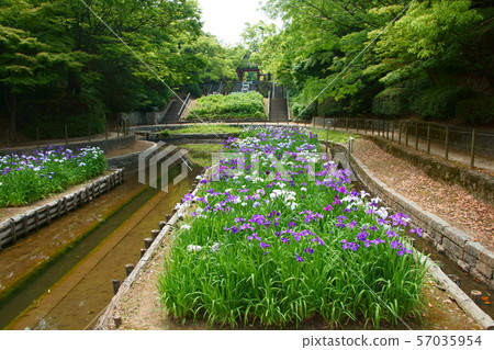 夜宮公園和祗園 57035954