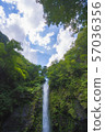 Amitabha Falls 57036356