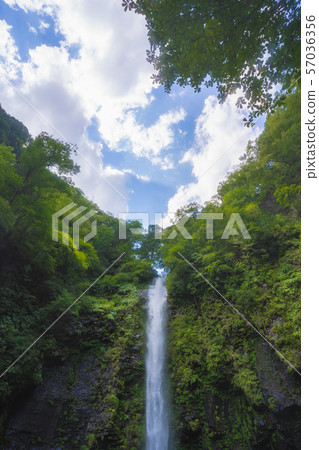 Amitabha Falls 57036356