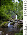 Amitabha Falls 57036360