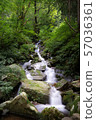 Amitabha Falls 57036361