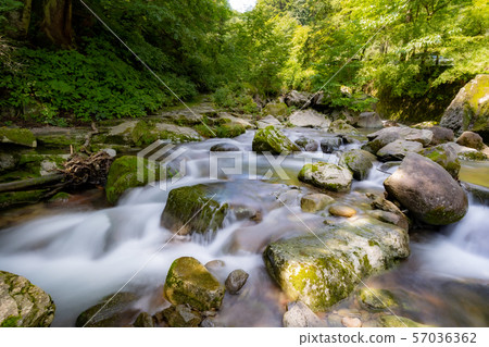 Amitabha Falls 57036362