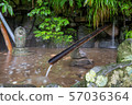 Amitabha Falls 57036364