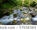 Amitabha Falls 57036365