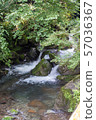 Amitabha Falls 57036367