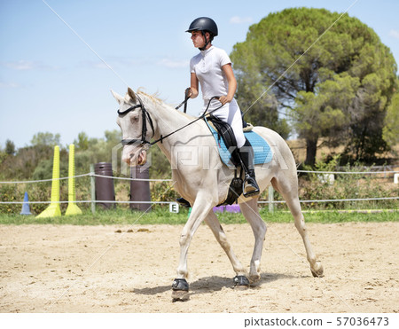 riding girl and horse riding girl and horse 57036473