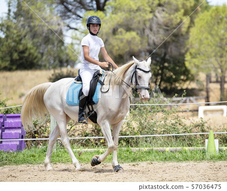 riding girl and horse riding girl and horse 57036475