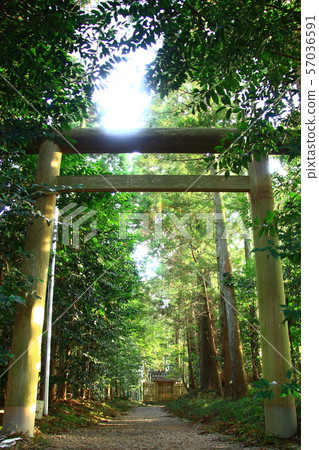 千葉縣香取市Katori Jingu Okumiya 千葉縣香取市Katori Jingu Okumiya 57036591