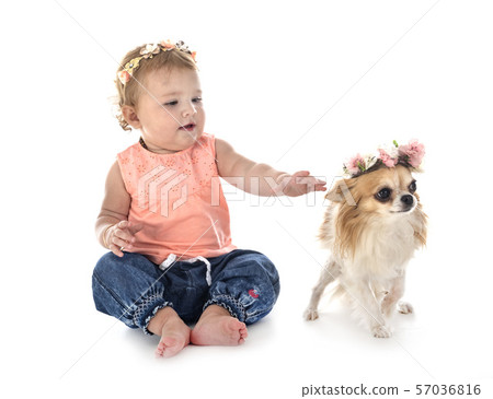 child and dog child and dog 57036816