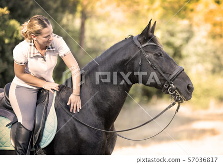 riding girl and horse riding girl and horse 57036817