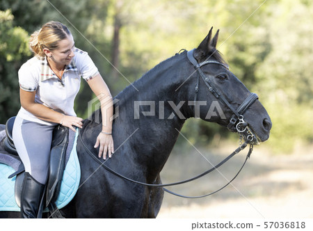 riding girl and horse riding girl and horse 57036818