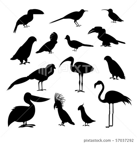 Cartoon Silhouette Black Exotic Bird Icon Set. Vector 57037292