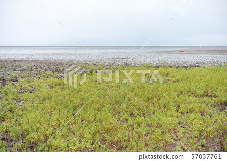 Turkey Turkey 57037761