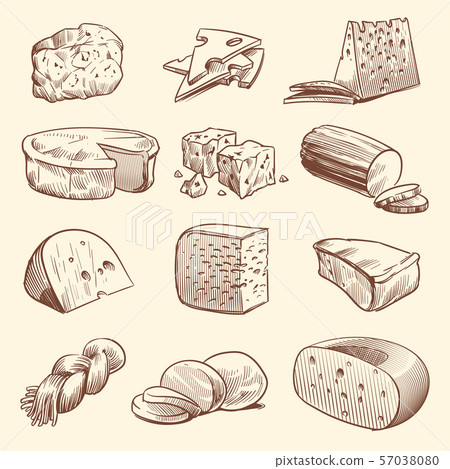 Hand drawn cheese. Various types of cheeses. Tasty brie, mozzarella and parmesan appetizer foods 57038080